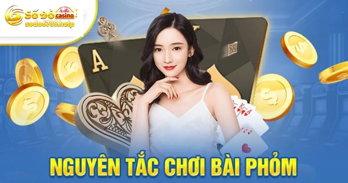 Game Bài Phỏm - Lựa Chọn Giải Trí Của Mọi Bet Thủ Tại Sodo6789
