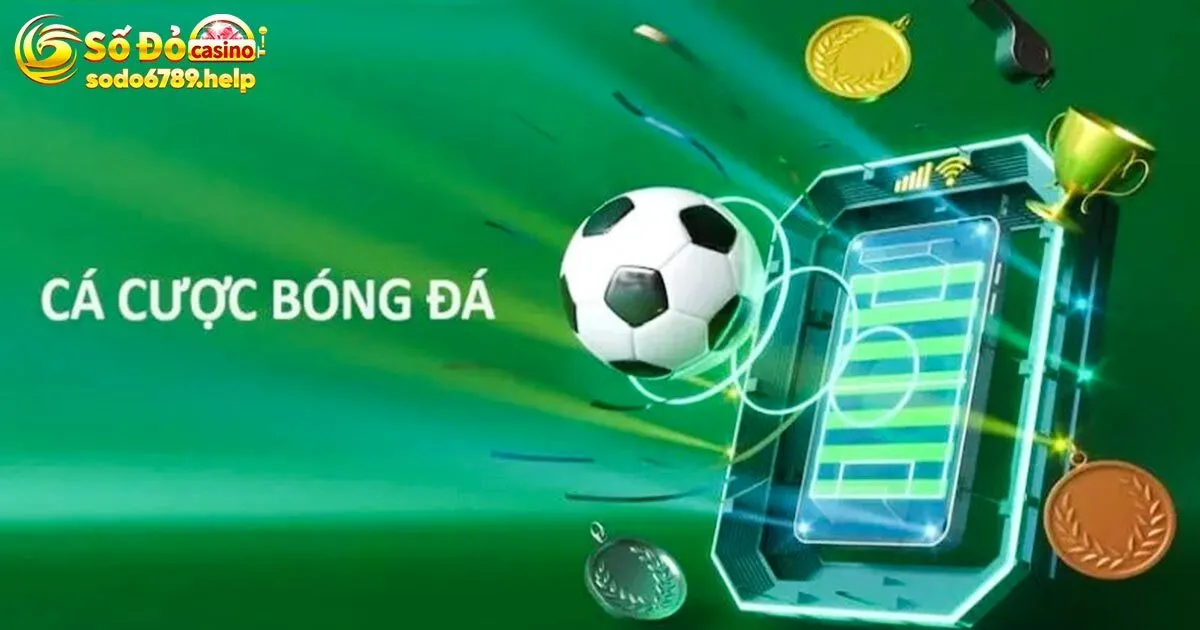 Đánh giá lợi ích & rủi ro khi chơi cá cược bóng đá