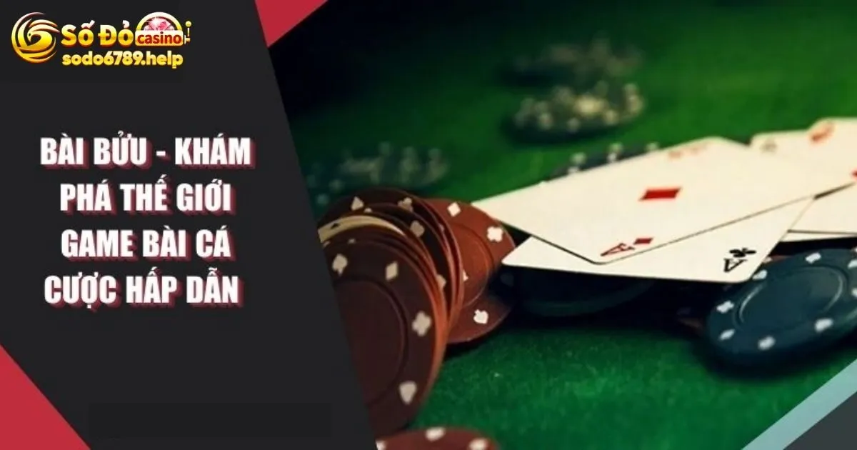 Game Bài Bửu - Hướng Dẫn Cách Thức Đặt Cược Cho Tân Binh