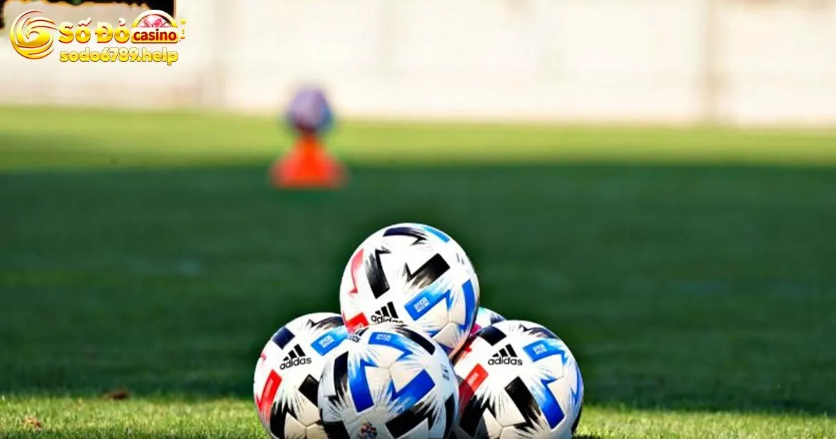 Bí kíp bắt kèo châu á đẳng cấp từ chuyên gia