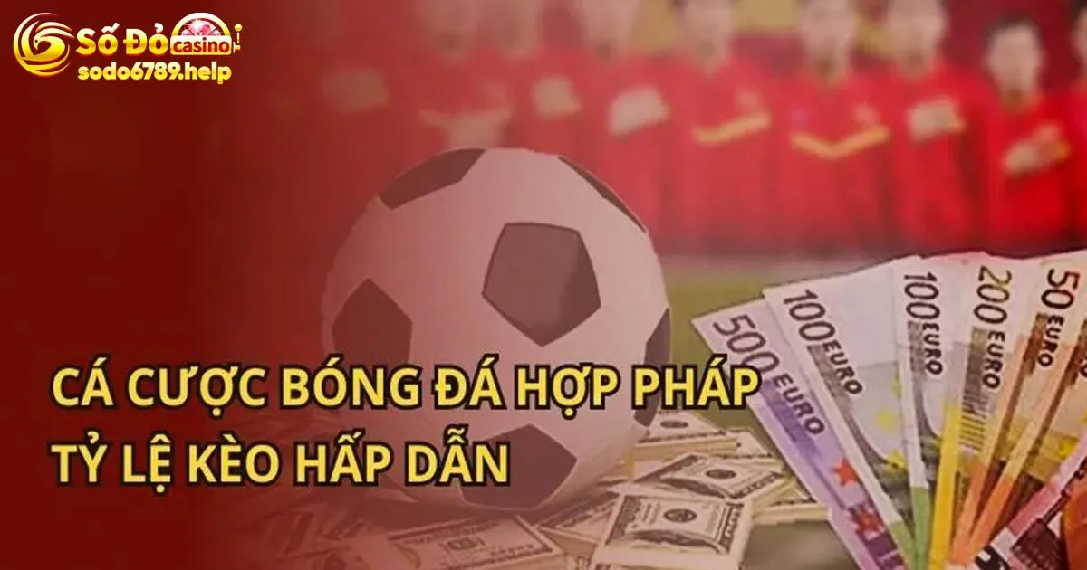 4+ phương pháp soi kèo chơi cá độ thắng lớn